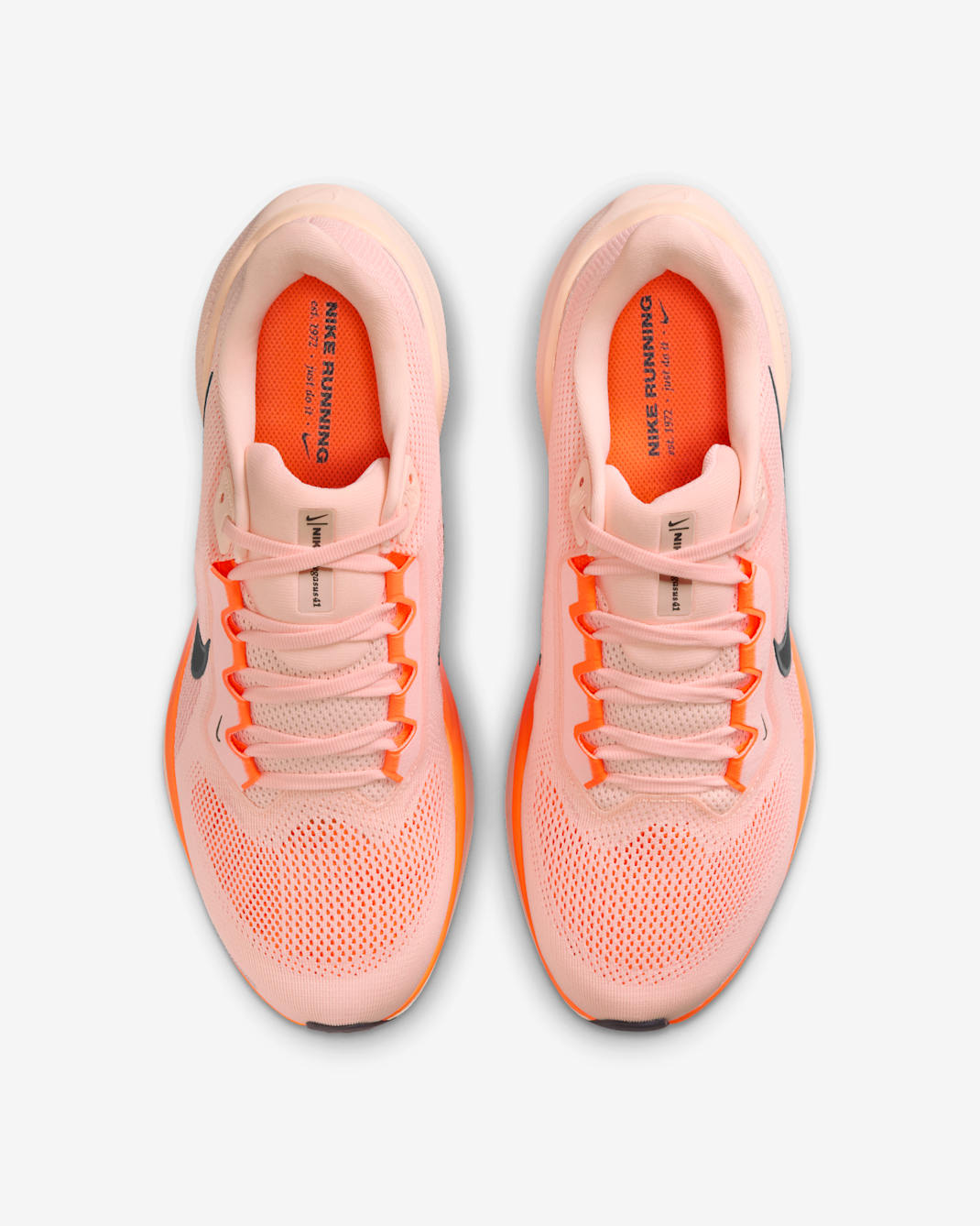 Nike Pegasus 41