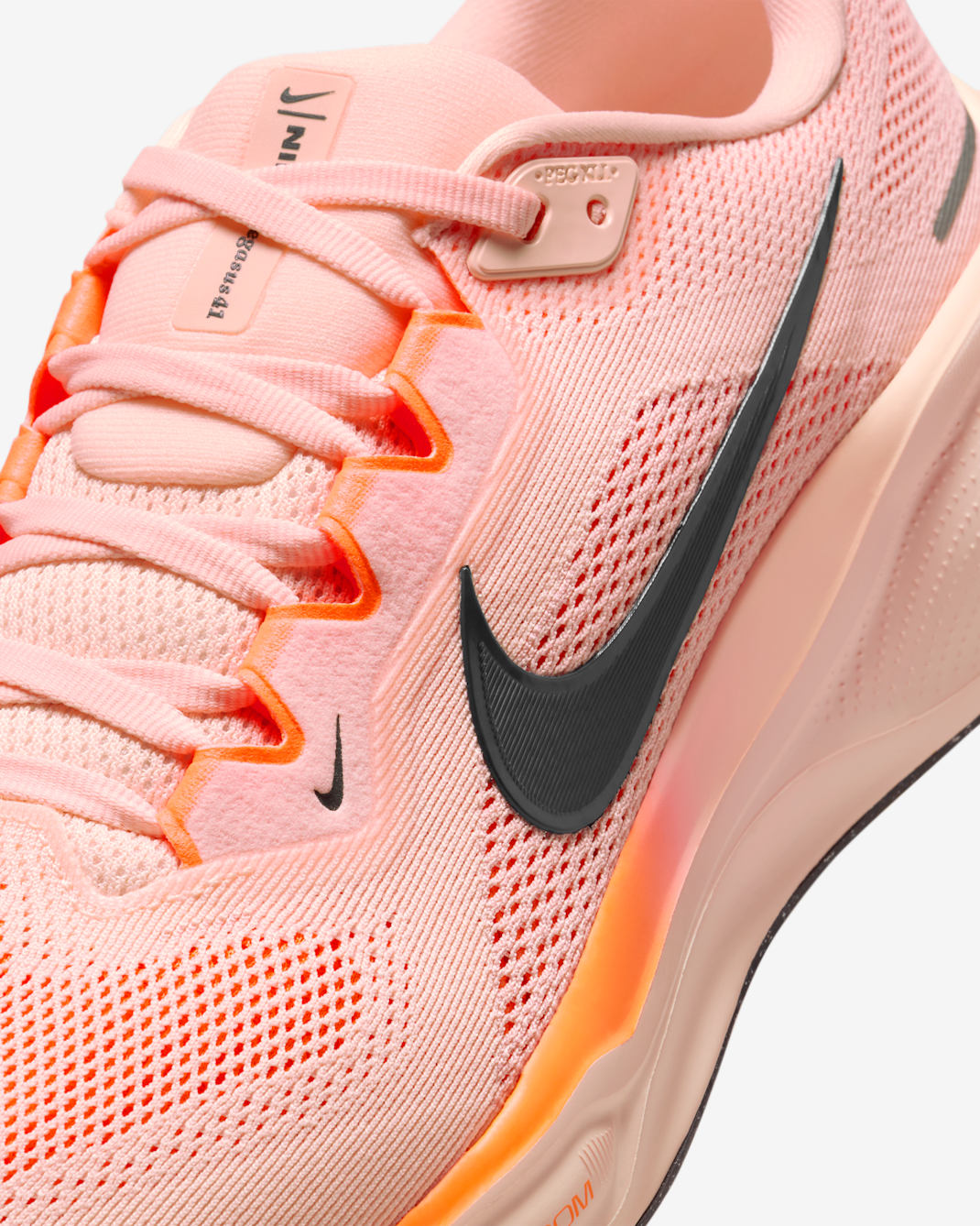 Nike Pegasus 41
