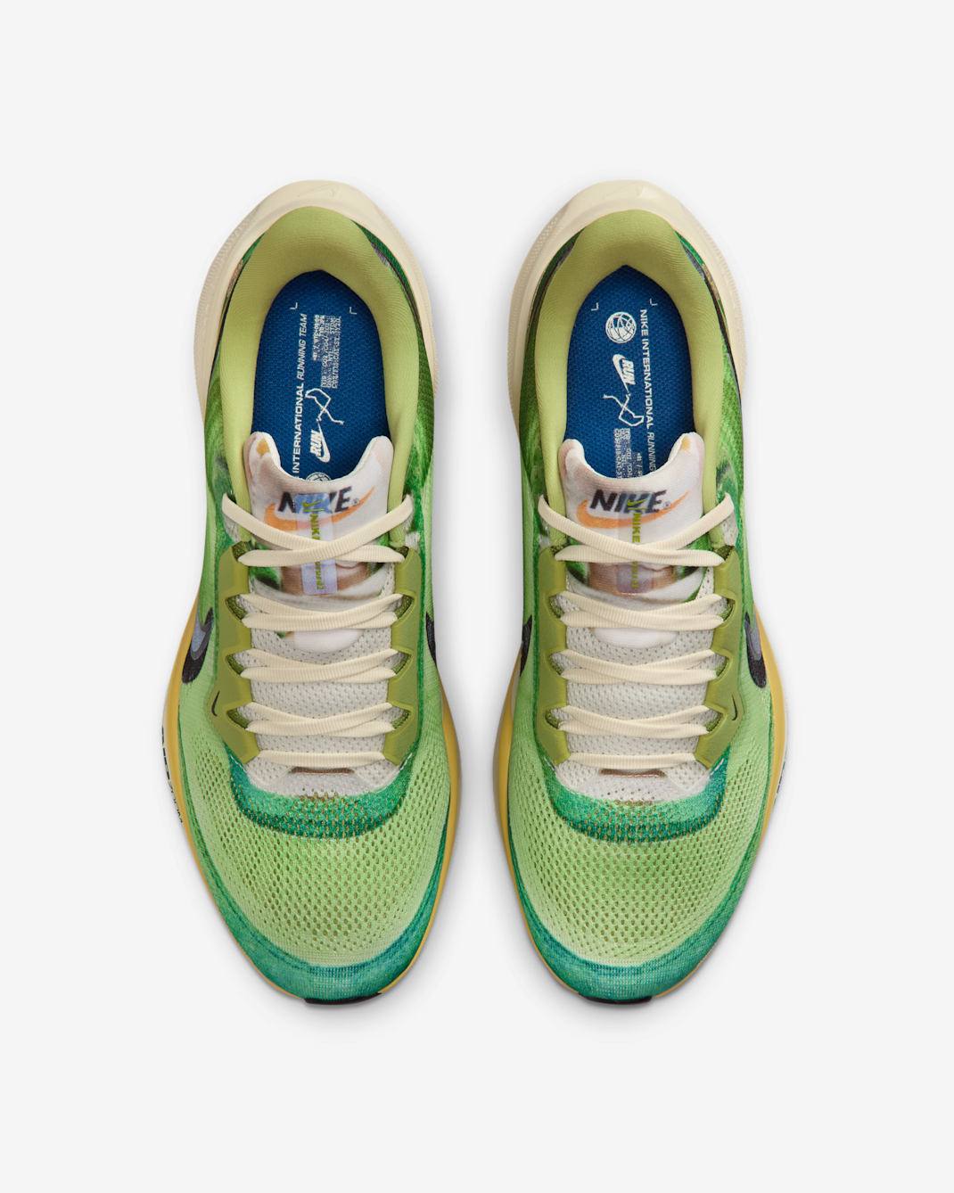 Nike Pegasus 41