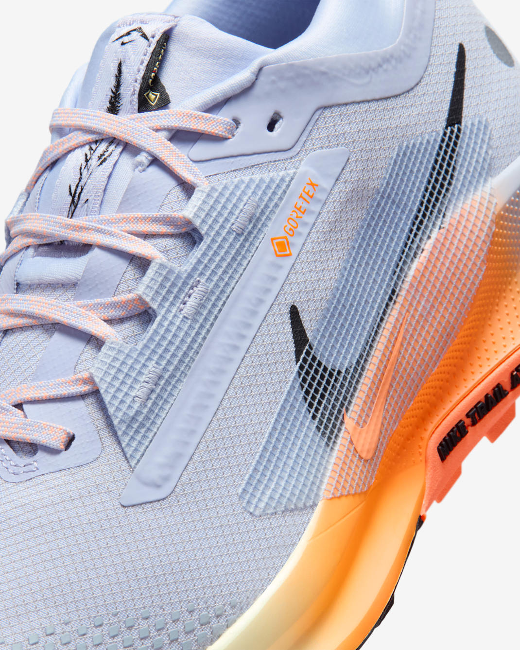 Nike Pegasus Trail 5 GTX