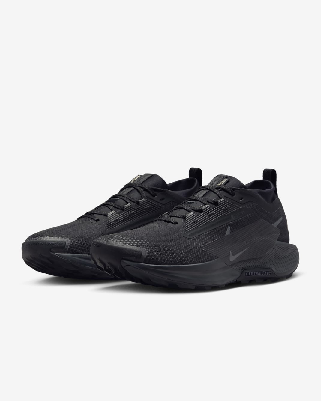 Nike Pegasus Trail 5 GTX