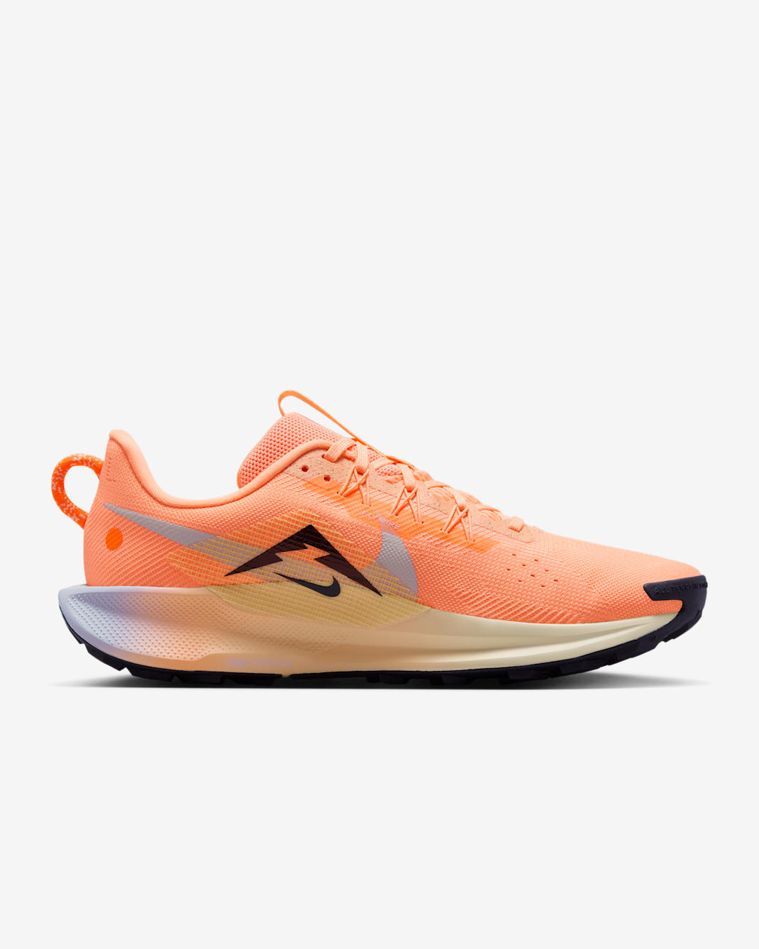 Nike Pegasus Trail
