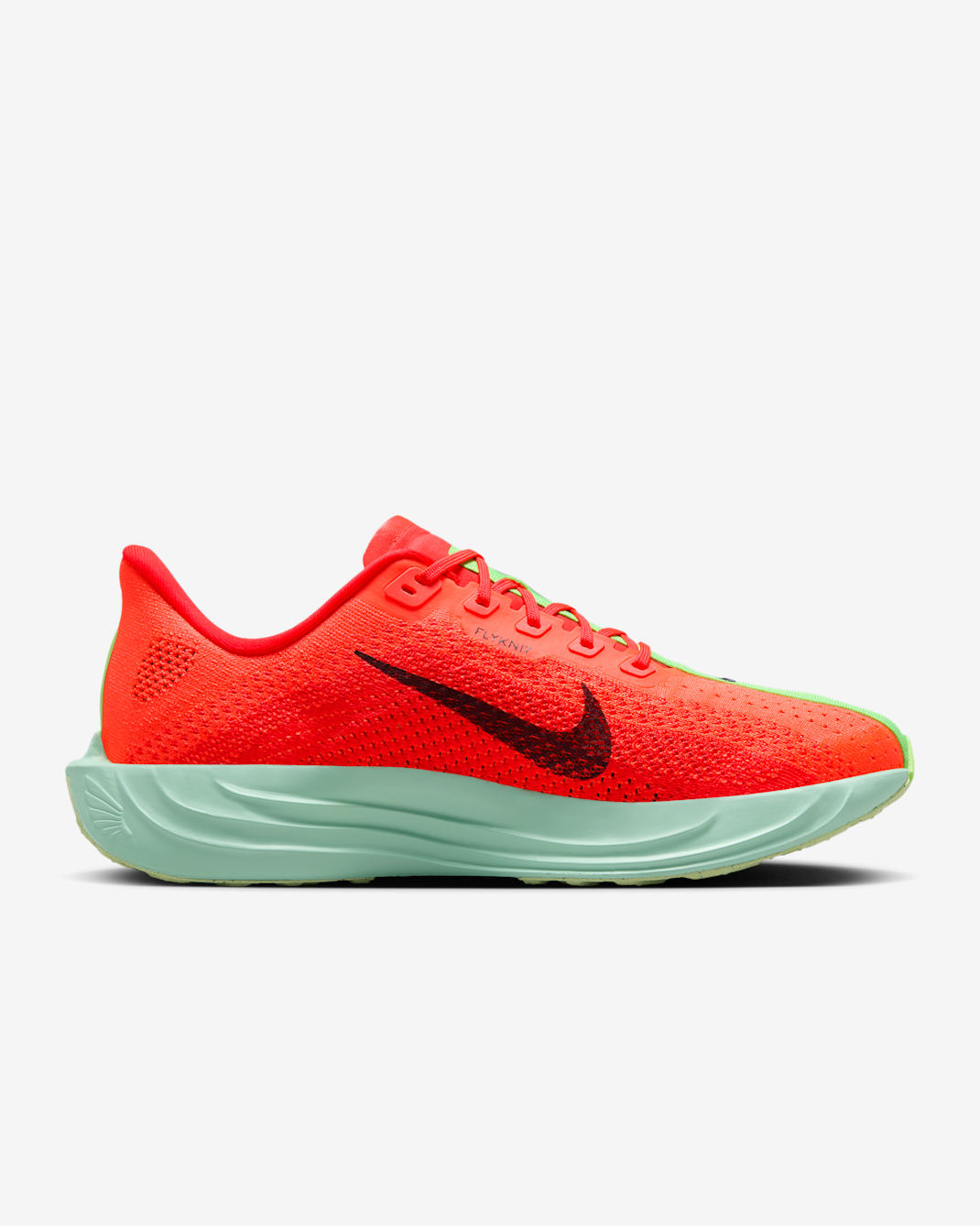 Nike Pegasus Plus