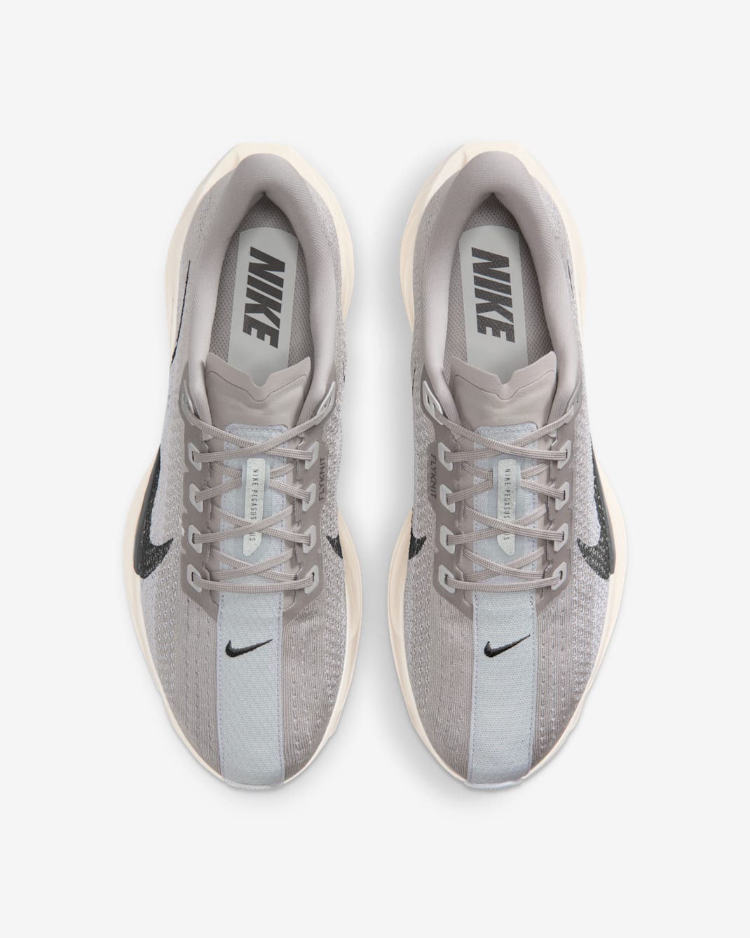 Nike Pegasus Plus