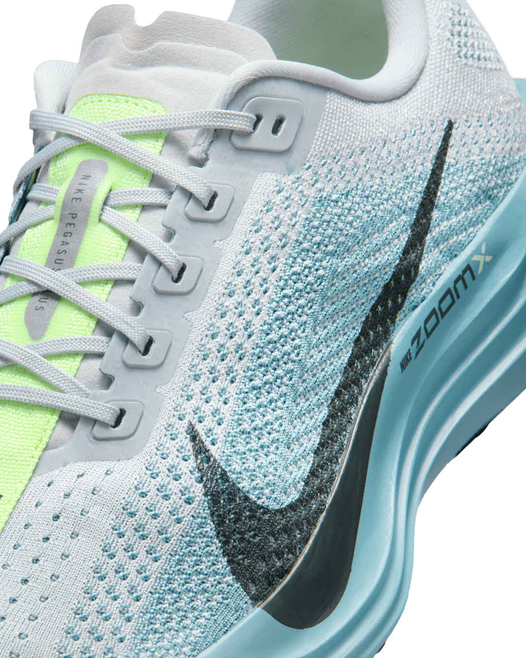 Nike Pegasus Plus