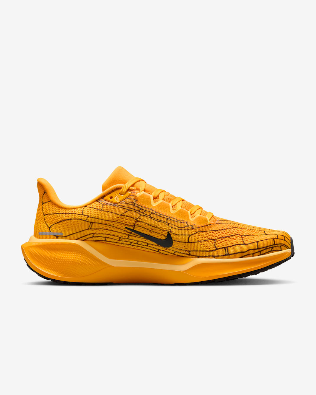 Nike Pegasus 41