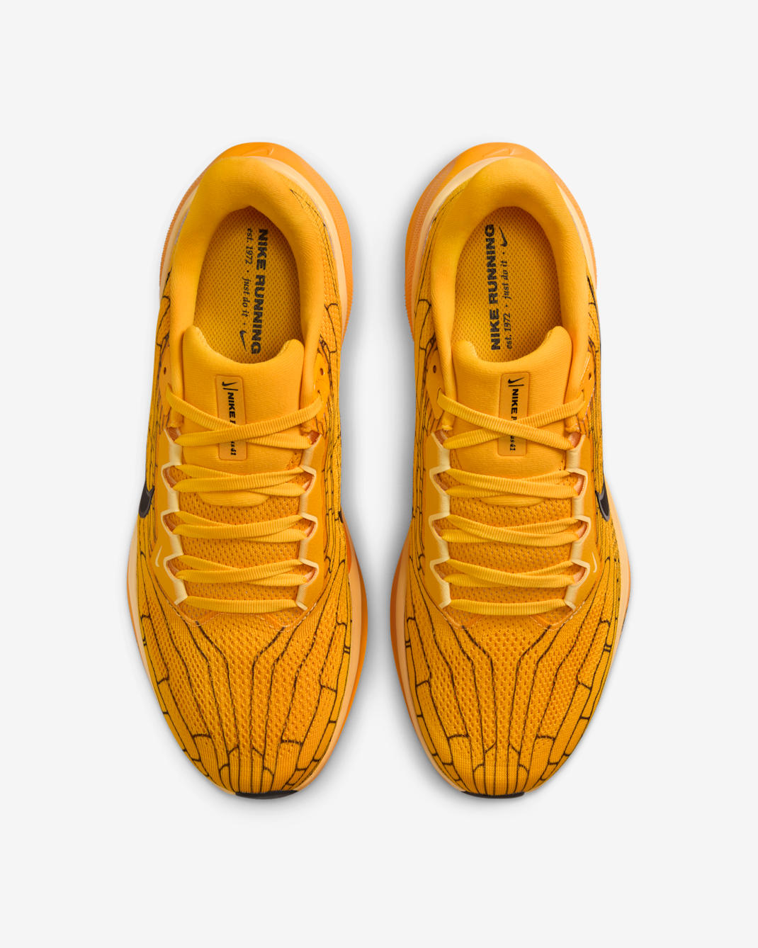 Nike Pegasus 41