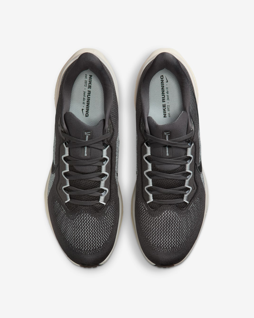 Nike Pegasus 41